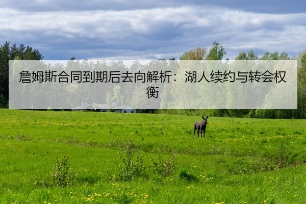 詹姆斯合同到期后去向解析：湖人续约与转会权衡